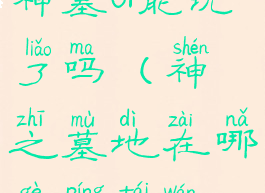 神墓ol能玩了吗(神之墓地在哪个平台玩)