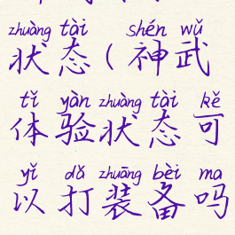 神武体验状态(神武体验状态可以打装备吗)