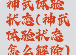 神武体验状态(神武体验状态怎么解除)