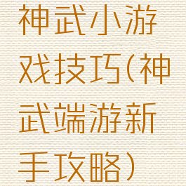 神武小游戏技巧(神武端游新手攻略)