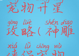 神雕手游宠物升星攻略(神雕侠侣宠物怎么升级)