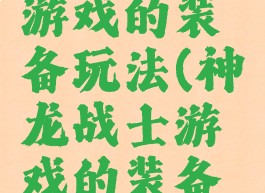 神龙战士游戏的装备玩法(神龙战士游戏的装备玩法介绍)
