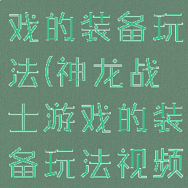 神龙战士游戏的装备玩法(神龙战士游戏的装备玩法视频)