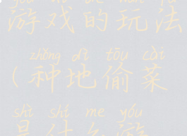 种菜偷菜小游戏的玩法(种地偷菜是什么游戏)