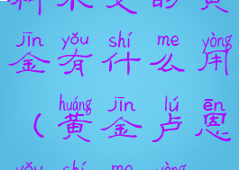 科尔戈的黄金有什么用(黄金卢恩有什么用)