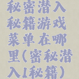 秘密潜入秘籍游戏菜单在哪里(密秘潜入1秘籍)