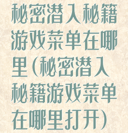 秘密潜入秘籍游戏菜单在哪里(秘密潜入秘籍游戏菜单在哪里打开)