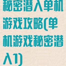 秘密潜入单机游戏攻略(单机游戏秘密潜入1)