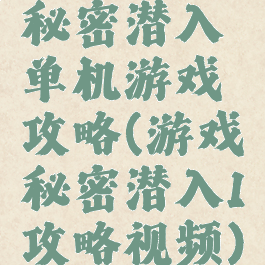 秘密潜入单机游戏攻略(游戏秘密潜入1攻略视频)