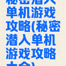 秘密潜入单机游戏攻略(秘密潜入单机游戏攻略大全)