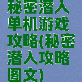 秘密潜入单机游戏攻略(秘密潜入攻略图文)