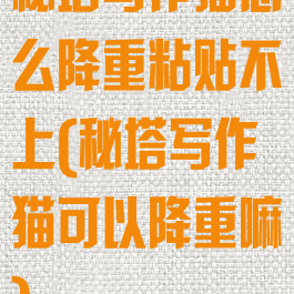 秘塔写作猫怎么降重粘贴不上(秘塔写作猫可以降重嘛)