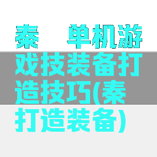 秦殇单机游戏技装备打造技巧(秦殇打造装备)