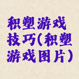 积塑游戏技巧(积塑游戏图片)