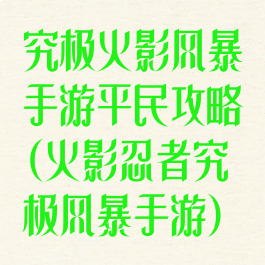究极火影风暴手游平民攻略(火影忍者究极风暴手游)