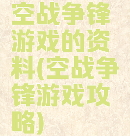 空战争锋游戏的资料(空战争锋游戏攻略)