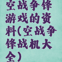 空战争锋游戏的资料(空战争锋战机大全)