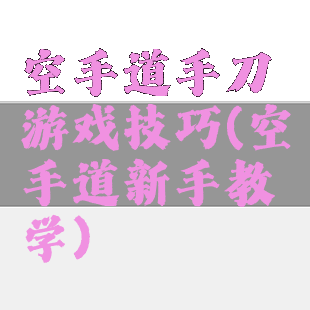 空手道手刀游戏技巧(空手道新手教学)
