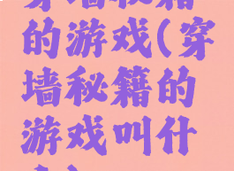 穿墙秘籍的游戏(穿墙秘籍的游戏叫什么)