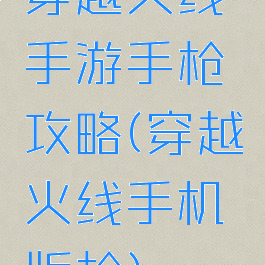 穿越火线手游手枪攻略(穿越火线手机版枪)