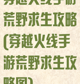 穿越火线手游荒野求生攻略(穿越火线手游荒野求生攻略图)