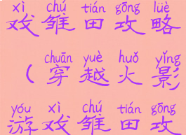 穿越火影游戏雏田攻略(穿越火影游戏雏田攻略小说)