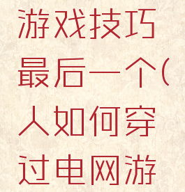 穿越电网游戏技巧最后一个(人如何穿过电网游戏方法)