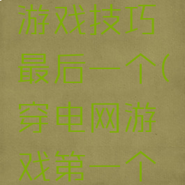穿越电网游戏技巧最后一个(穿电网游戏第一个怎么通过)