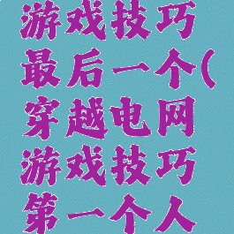 穿越电网游戏技巧最后一个(穿越电网游戏技巧第一个人怎么过)