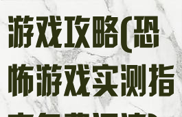 穿越恐怖测试游戏攻略(恐怖游戏实测指南免费阅读)