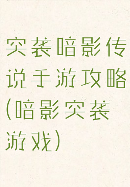突袭暗影传说手游攻略(暗影突袭游戏)