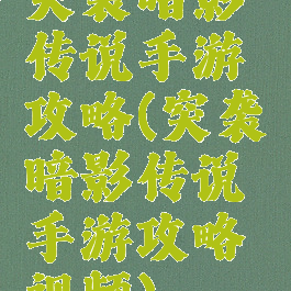 突袭暗影传说手游攻略(突袭暗影传说手游攻略视频)