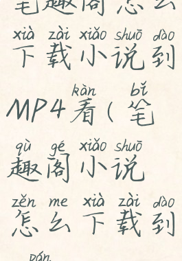 笔趣阁怎么下载小说到MP4看(笔趣阁小说怎么下载到u盘)