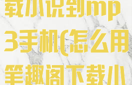 笔趣阁怎么下载小说到mp3手机(怎么用笔趣阁下载小说)