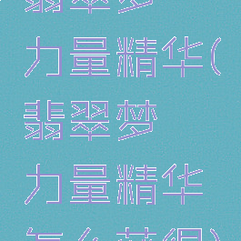 翡翠梦魇力量精华(翡翠梦魇力量精华怎么获得)