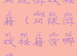 网球游戏秘籍(网球游戏秘籍有哪些)