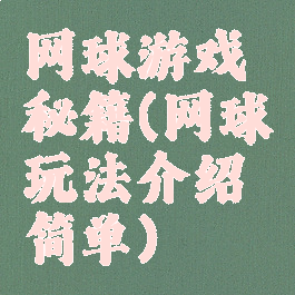 网球游戏秘籍(网球玩法介绍简单)