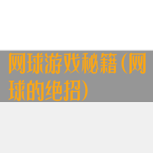 网球游戏秘籍(网球的绝招)