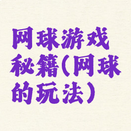 网球游戏秘籍(网球的玩法)