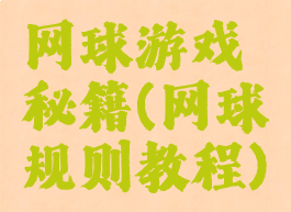 网球游戏秘籍(网球规则教程)