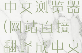 网站翻译成中文浏览器(网站直接翻译成中文)