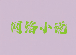 网络小说