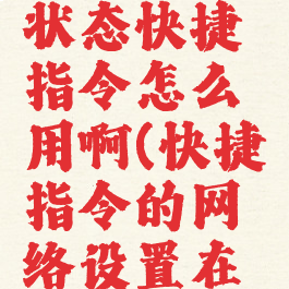 网络连接状态快捷指令怎么用啊(快捷指令的网络设置在哪里)