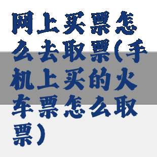 网上买票怎么去取票(手机上买的火车票怎么取票)