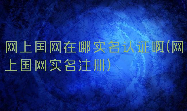 网上国网在哪实名认证啊(网上国网实名注册)