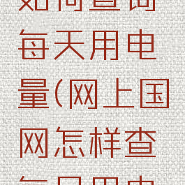 网上国网如何查询每天用电量(网上国网怎样查每日用电量)