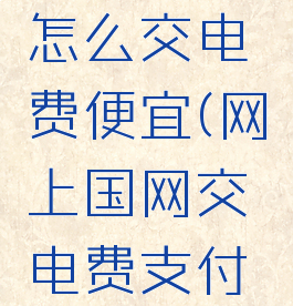 网上国网怎么交电费便宜(网上国网交电费支付方式)