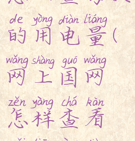 网上国网怎么查每天的用电量(网上国网怎样查看每天用电量)