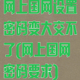 网上国网设置密码变大交不了(网上国网密码要求)