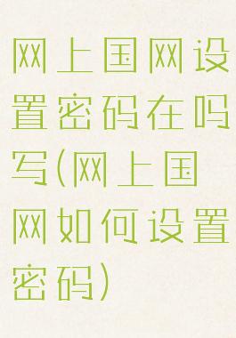 网上国网设置密码在吗写(网上国网如何设置密码)